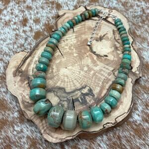 DESERT ROSE TRADING Jay King Graduated Natural Green Turquoise Bead Necklace